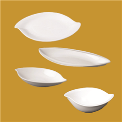 shape-product-image